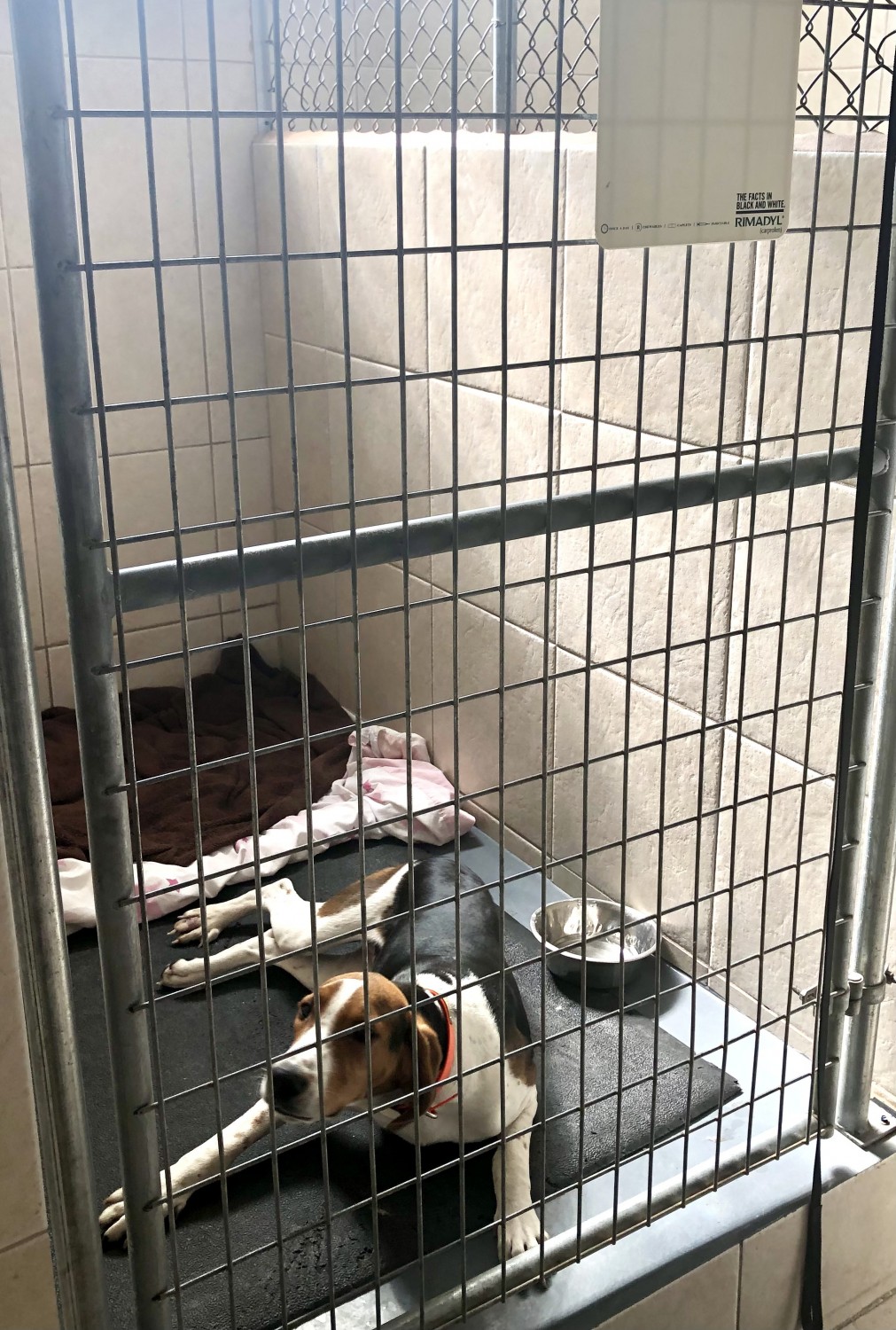 Trenton Animal Hospital / Boarding